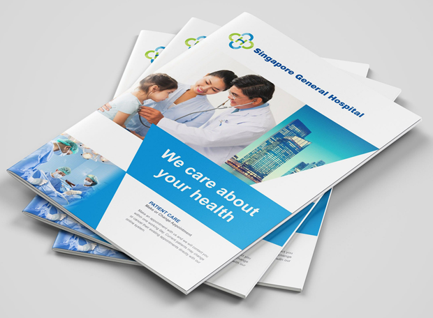 620 x 456 brochures